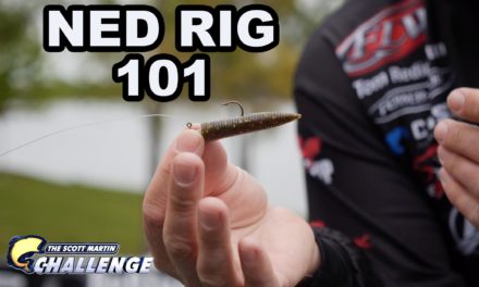 – The Ned Rig – Special Bass Fishing Technique – How to rig it and fish it