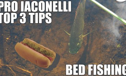 Mike Iaconelli – Top 3 Best Bed Fishing Secret Bass Fishing Tips Video
