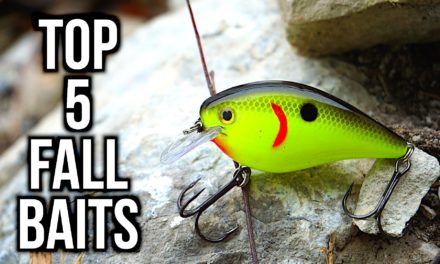 Top 5 Fall Bass Fishing Lures