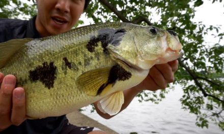 Urban Bass Fishing in Washington, DC – Lower Potomac River