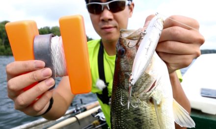 Venturing Offshore for Topwater Bass – The Quest to Become a Bass Master!