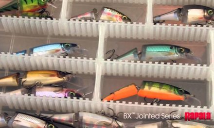 Rapala® BX™ Jointed Minnow & BX™ Jointed Shad