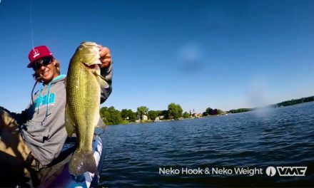 The ultimate Neko Rig: HOW TO FISH the VMC® Neko Hook & Weight