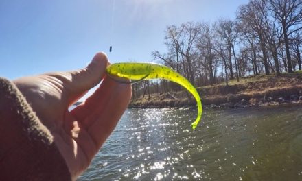 LakeForkGuy – Bass Baits for Tough Fishing Days
