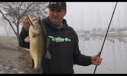 Bass Fishing Tips for Bank Anglers!