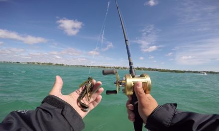 Lawson Lindsey – Bass Jigs in Saltwater
