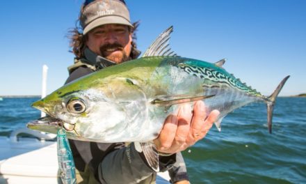 The Obsession of Carter Andrews – Cape Cod False Albacore: Episode 304