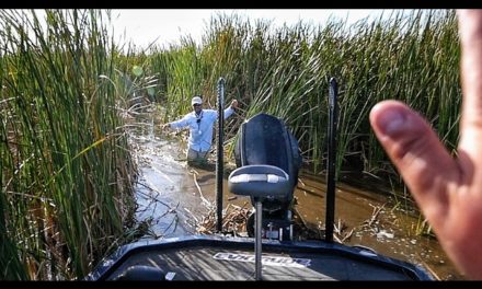 Scott Martin VLOG – Getting Stuck in the Swamp with Pops – Secret Bass Fishing Hole (feat. Roland Martin)