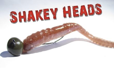 LakeForkGuy – Hooking Up with Shakey Heads