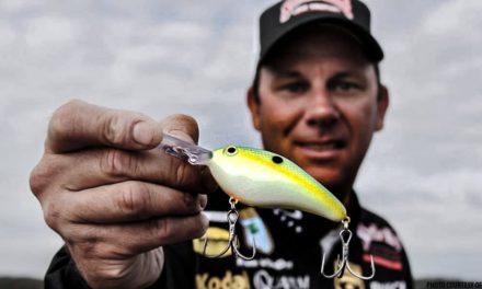 How KVD Catches Big Bass Fishing Crankbaits – VanDam