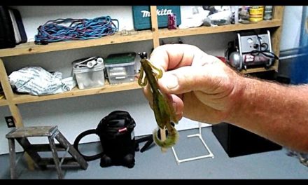 How To Fish A Shaky Head For Spotted Bass
