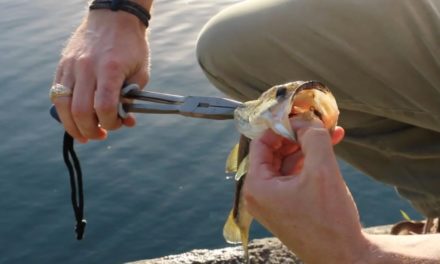 LakeForkGuy – How to Unhook Fish When They Swallow a Hook