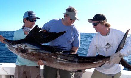 BlacktipH – Incredible Florida Sailfish Fishing – Double Digit Day