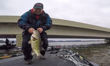 Jay Kendrick Lands Two Giant Bass on Lake Guntersville