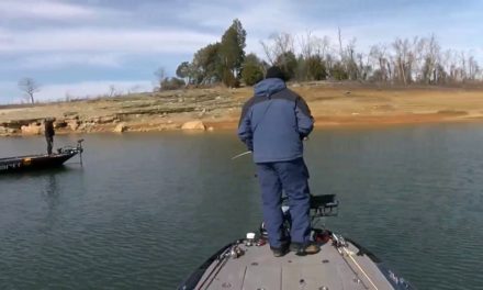 Bassmaster – Jesse Wiggins lets Matt Lee in on Cherokee Lake fishing hole