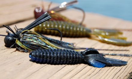 – Jig Fishing Tip – How to Choose a Jig Trailer – Lake Fork Bass Fishing