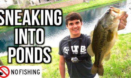 Flair – SNEAKING into Ponds for Spring Bass – VLOG