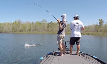 LakeForkGuy – Sight Fishing for Bass in Clear Water
