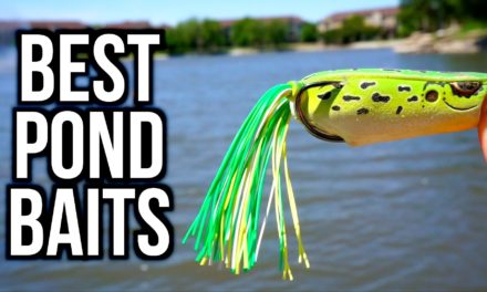 TOP 5 POND BASS FISHING BAITS – Bass Fishing Tips