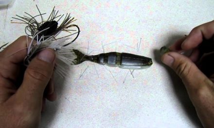 LakeForkGuy – The ChatterSwim – Catching Big Bass Everywhere it Goes