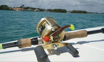 Lawson Lindsey – Tiny Swimbaits In Saltwater