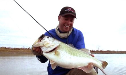 – Tips on Where and How to Catch Bass in the Spring
