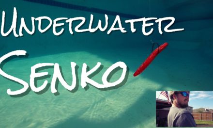 Lunkers TV – Underwater Senko – Bass Fishing Beast
