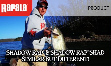 Why you need both: The Rapala® Shadow Rap® & Shadow Rap® Shad