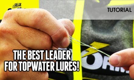 Best leaders for topwater lures: HOW TO FISH