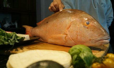 Lawson Lindsey – CATCH AND COOK: One of the Tastiest Fish in the Sea