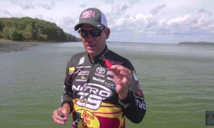 Cold Water Power Fishing with KVD