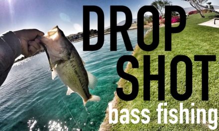 Drop Shot Finesse Bass Fishing