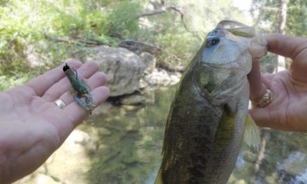 LakeForkGuy – Fishing for Bass and Sunfish in Clear Texas Creeks with Crawfish