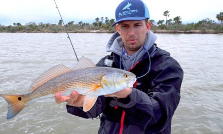 BlacktipH – Fishing for Redfish in the Mosquito Lagoon