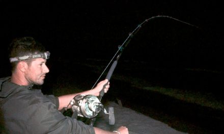 BlacktipH – Foul Hooked Shark pulls close to 1000yds