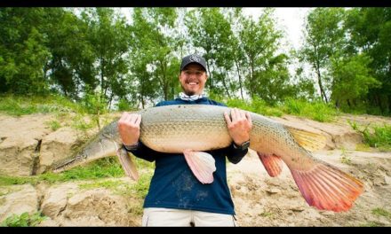 Lunkers TV – HOW DID THAT HAPPEN? –INSANE FISH CATCH!!