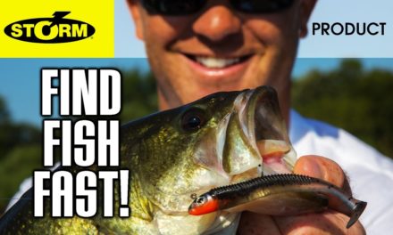 How to Find Fish Fast with Searchbaits!