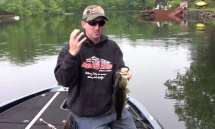 – How to catch Largemouth Bass During the Spawn
