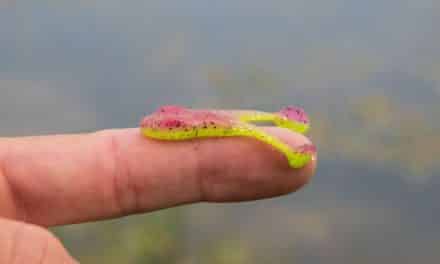 LakeForkGuy – Micro Frog Fishing Challenge