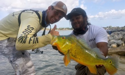 BlacktipH – Peacock Bass Fishing in Miami – ft. Monster Mike and Southern Fin Apparel