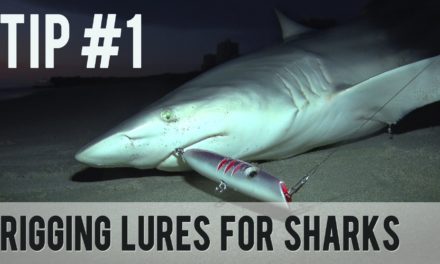 BlacktipH – Rigging Lures for Sharks – Fishing Tip #1