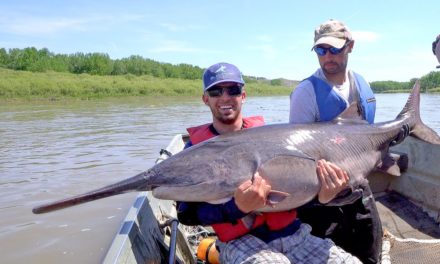 BlacktipH – Searching for Giant Paddlefish in Montana