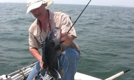 – Tips and Tricks – How To Catch Black Sea Bass