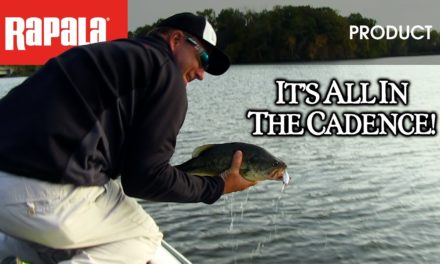 The Cadence & The Pause: HOW TO FISH The Rapala® Shadow Rap Shad