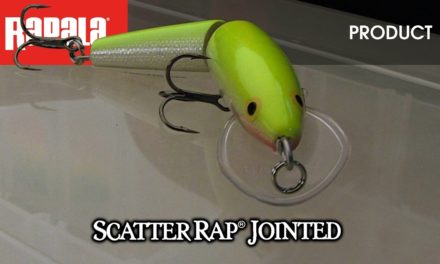 Rapala® Scatter Rap® Jointed