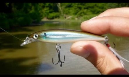 Mike Iaconelli Secret Tips & Tactics – Catch Everything that Swims – Finesse Jerkbait Fishing with Mike Iaconelli