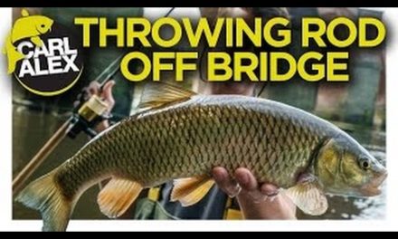 I THREW MY ROD OFF A BRIDGE?! River Fishing with lures and bait