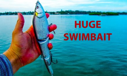Lawson Lindsey – Using HUGE Swimbaits in Saltwater for BIG Fish
