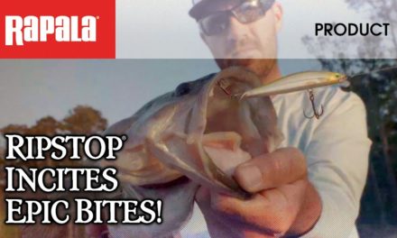 Fast-Ripping, Hard-Stopping. Rapala® Ripstop® Incites Epic Bites