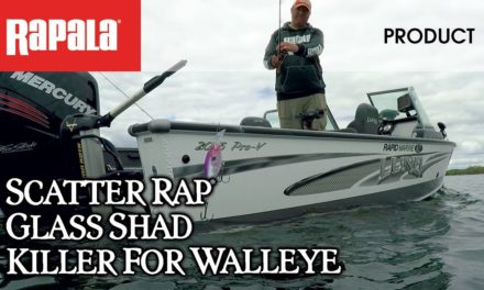 Rapala® Scatter Rap® Glass Shad